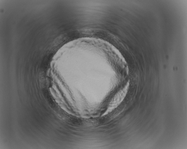 X0000073530707200608281552