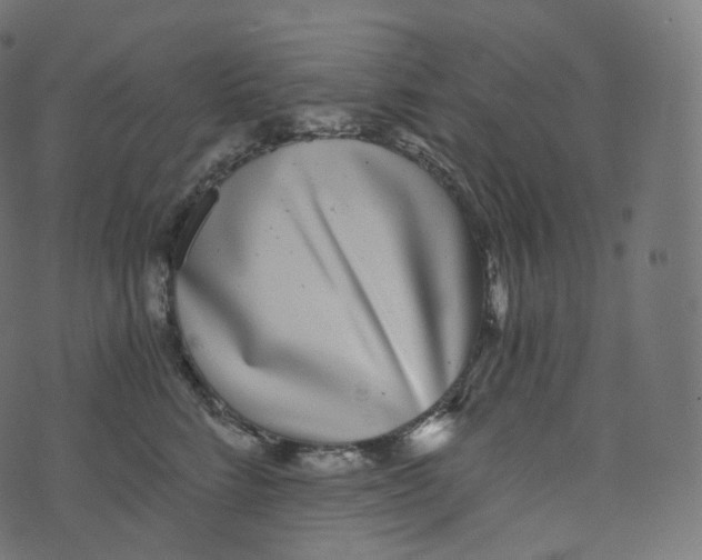 X0000073530712200608281551