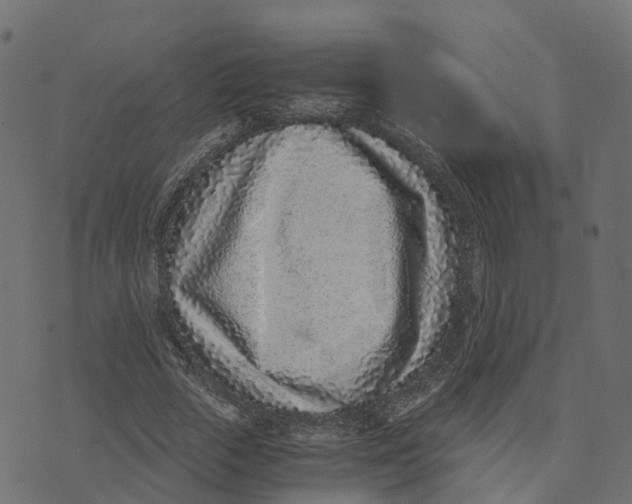 X0000073530729200608281551