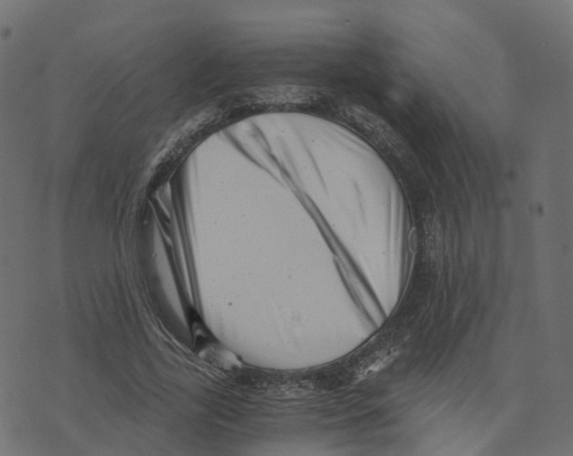 X0000073530731200608281551
