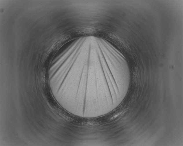 X0000073530739200608281551