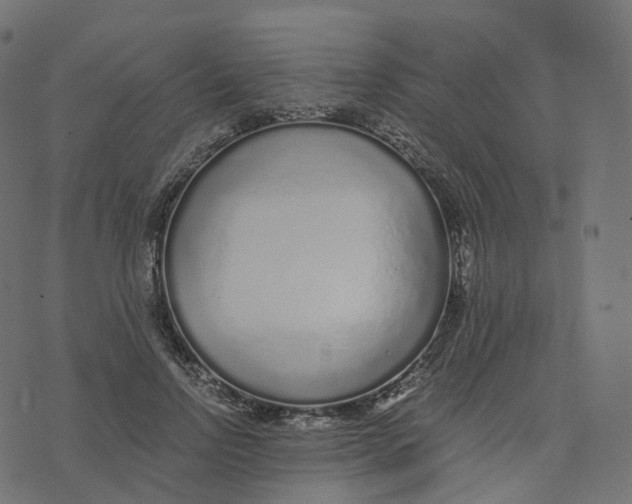 X0000073530742200608281551