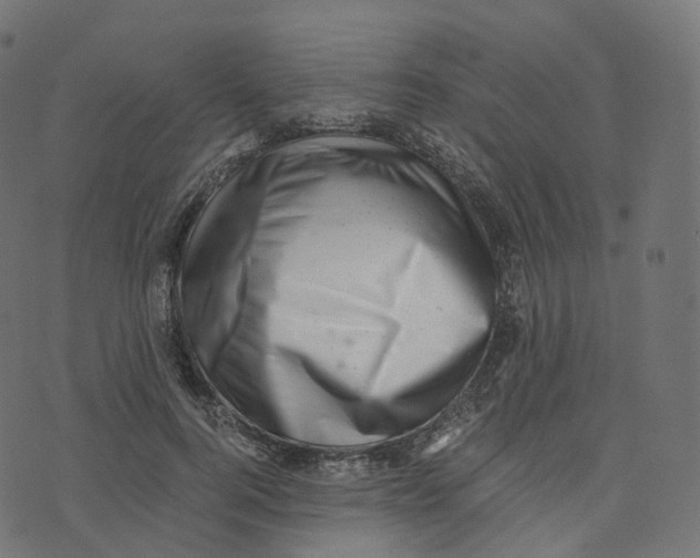 X0000073530744200608281551