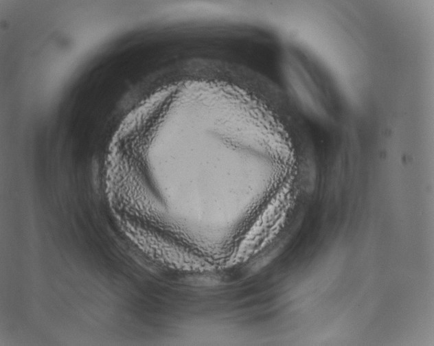 X0000073530765200608281551