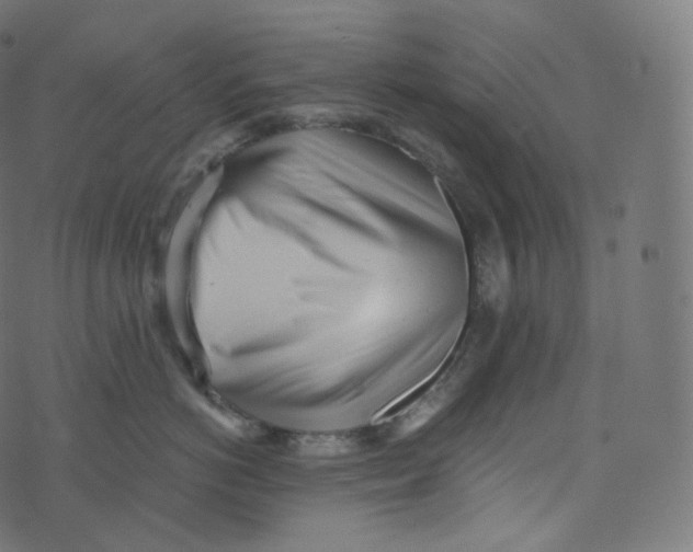 X0000073530766200608281551