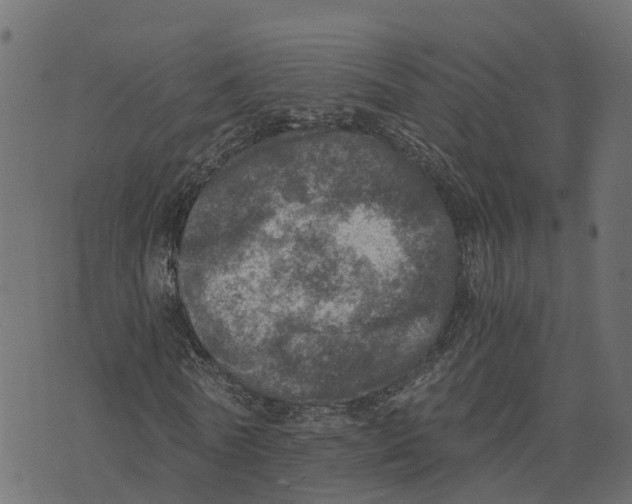 X0000073530770200608281551
