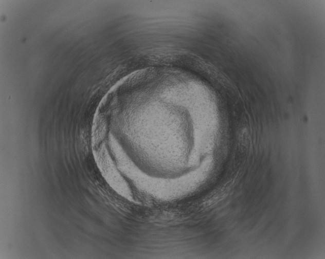 X0000073530772200608281550