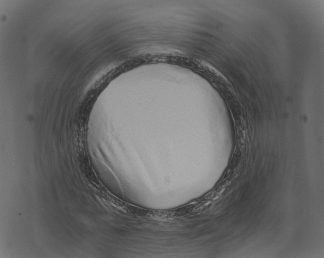 X0000073530775200608281550