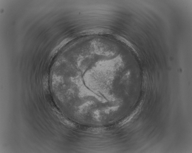 X0000073530778200608281550