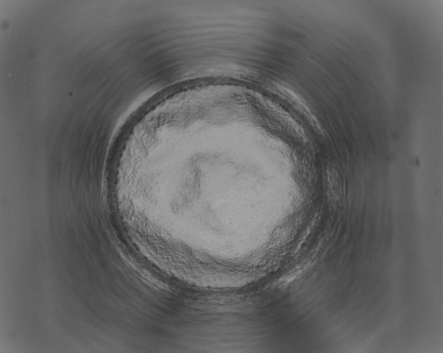 X0000073530780200608281550