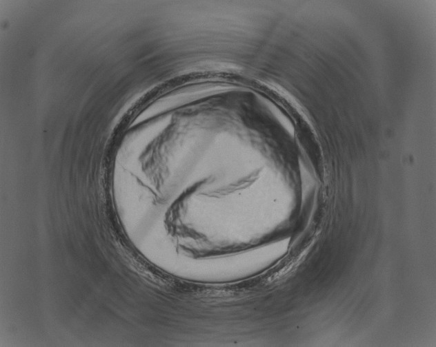 X0000073530783200608281550