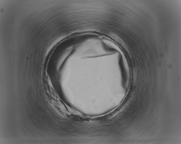 X0000073530789200608281550