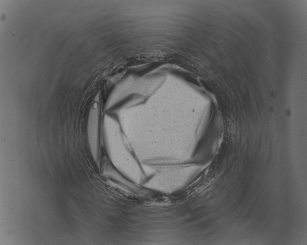 X0000073530818200608281549