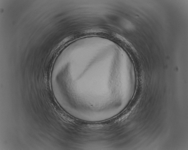 X0000073530825200608281549