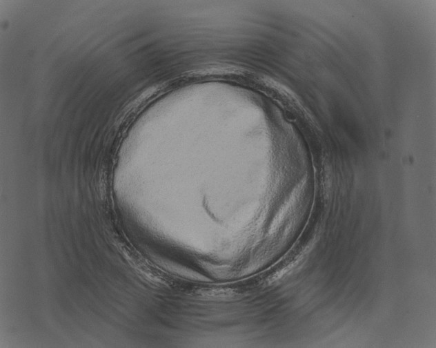 X0000073530833200608281549