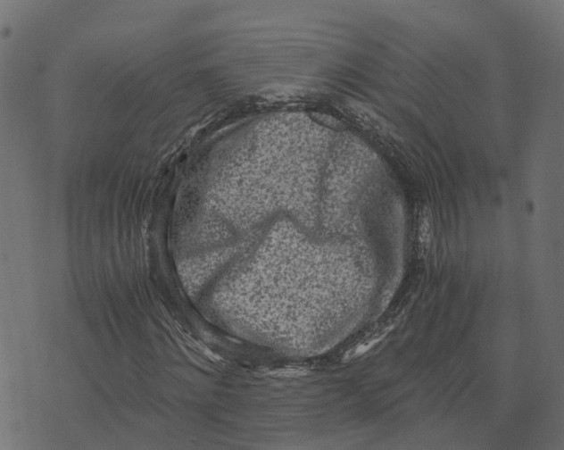 X0000073530868200608281549
