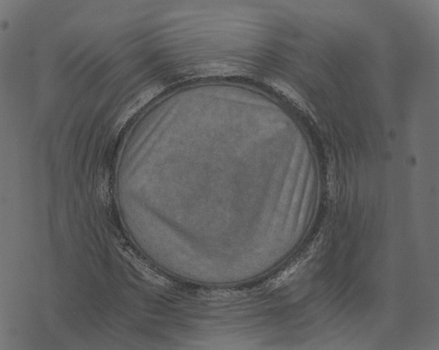 X0000073530873200608281549