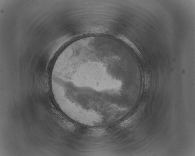 X0000073530878200608281549