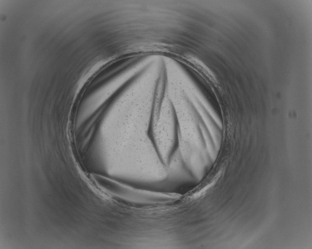 X0000073530893200608281549