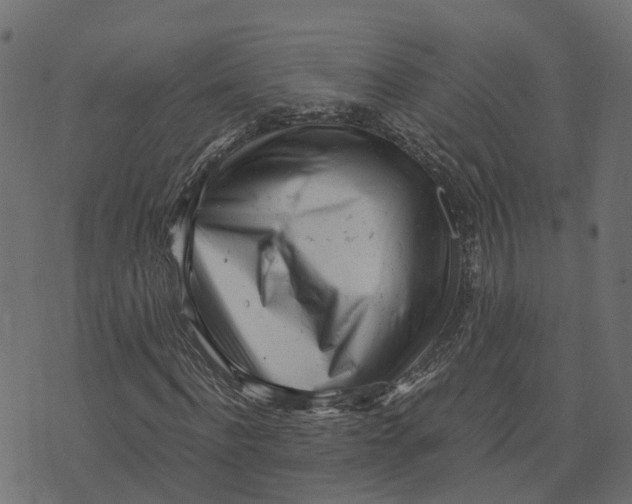 X0000073530916200608281547