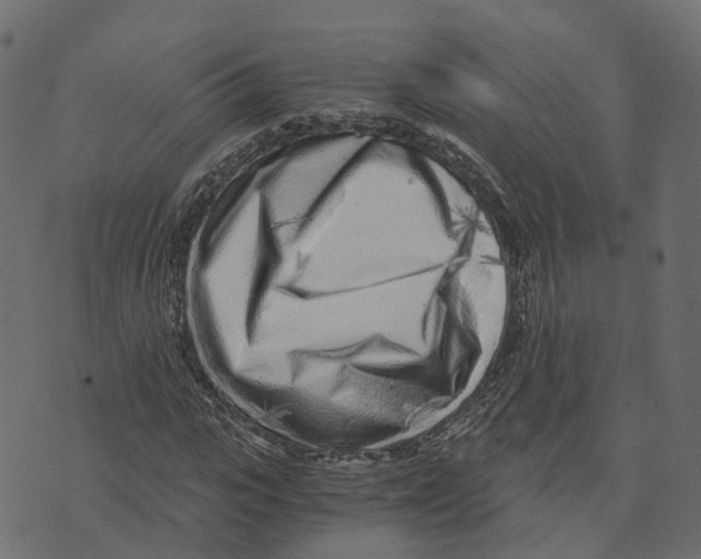 X0000073530919200608281548