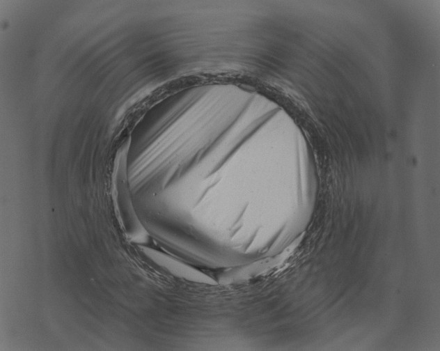 X0000073530920200608281548