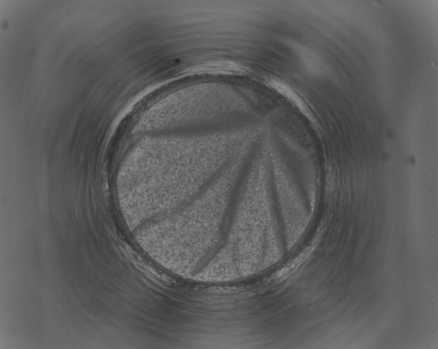 X0000073530923200608281548