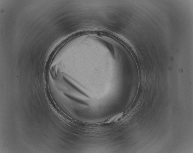 X0000073530935200608281548