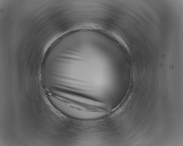 X0000073530944200608281548