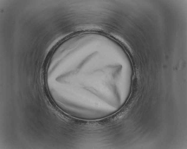 X0000073530983200608281547