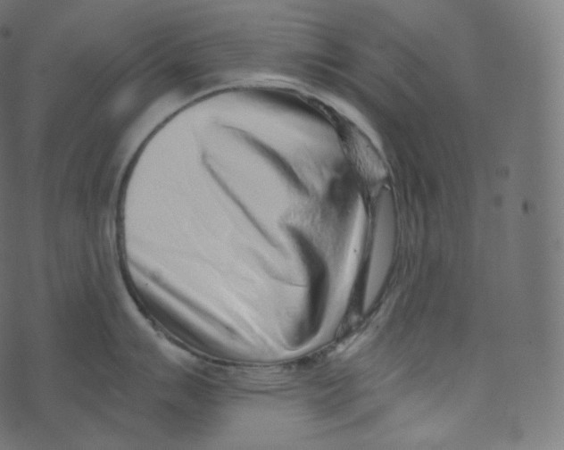 X0000073531007200608281547