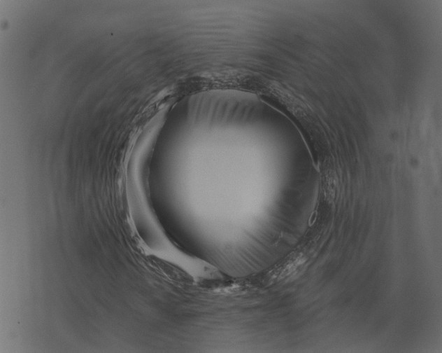 X0000073531010200608281546