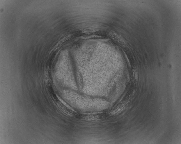 X0000073531012200608281546