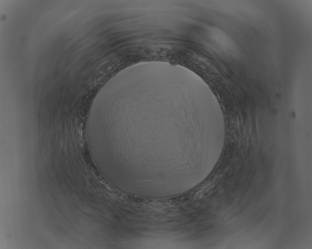 X0000073531013200608281546