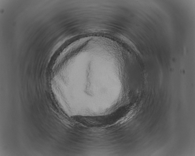 X0000073531023200608281546
