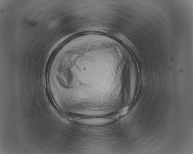 X0000073531028200608281546
