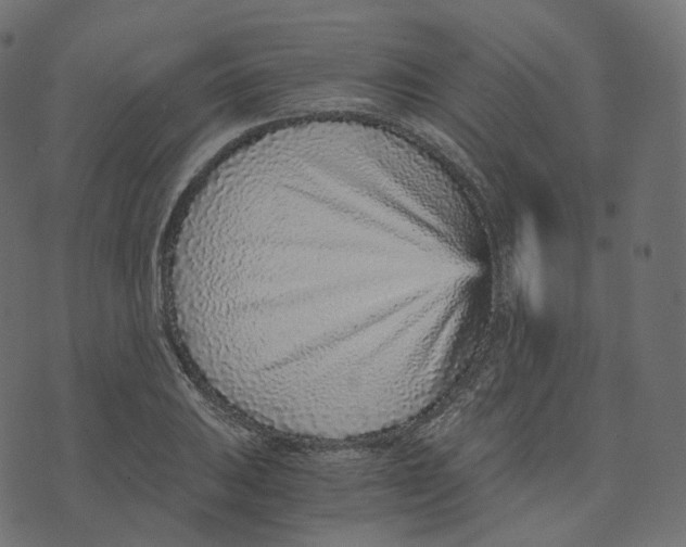 X0000073531031200608281546