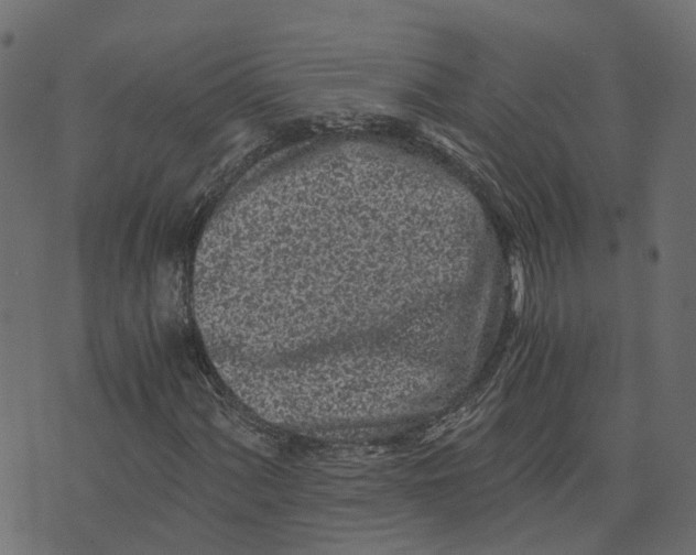 X0000073531060200608281546