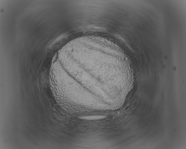 X0000073531063200608281546