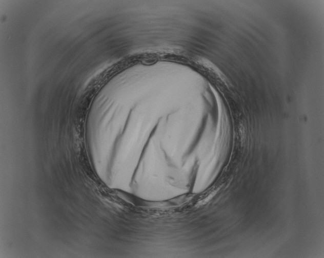 X0000073531064200608281546