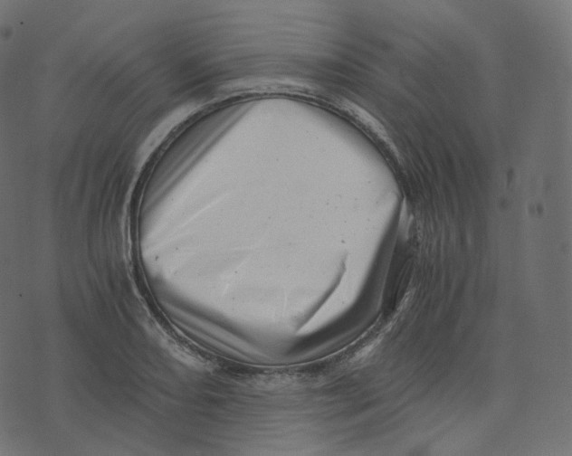 X0000073531082200608281545