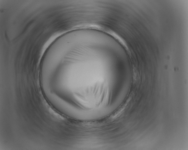 X0000073531102200608281545