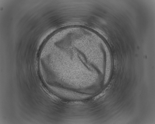 X0000073531119200608281545