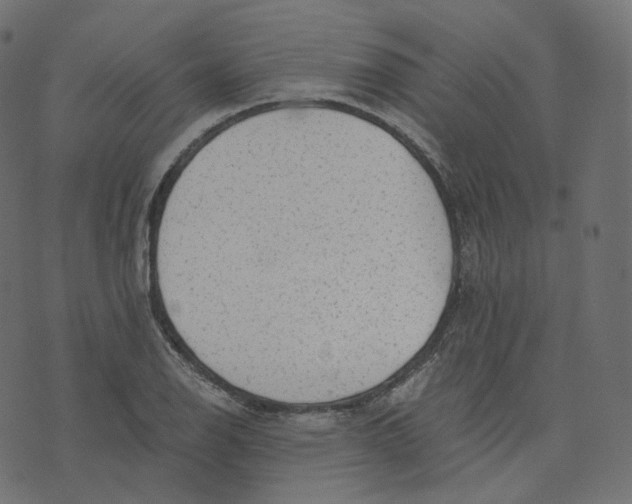 X0000073531126200608281545