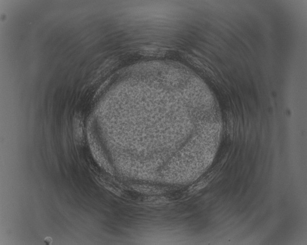 X0000073531154200608281544