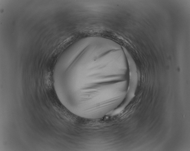 X0000073531156200608281544
