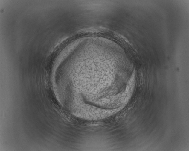 X0000073531158200608281544