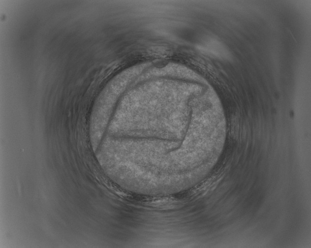 X0000073531201200608281543