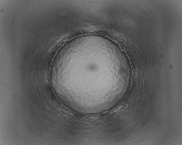 X0000073531205200608281543