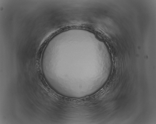 X0000073531208200608281543